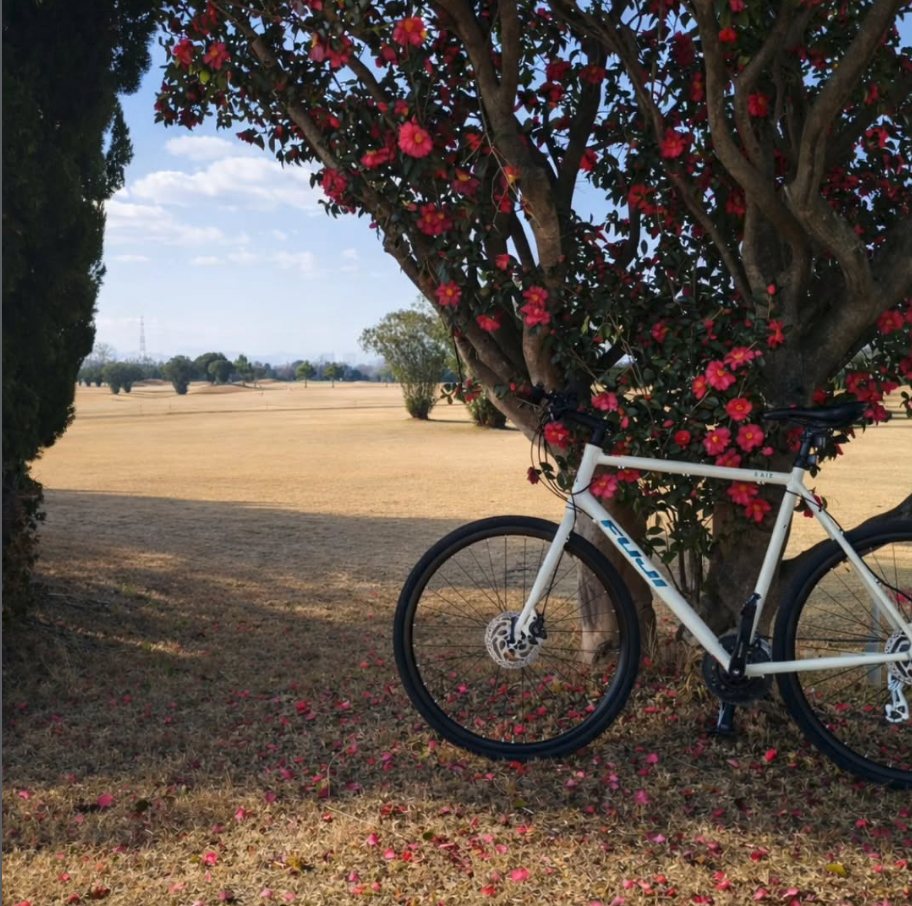Bicycle journey photo