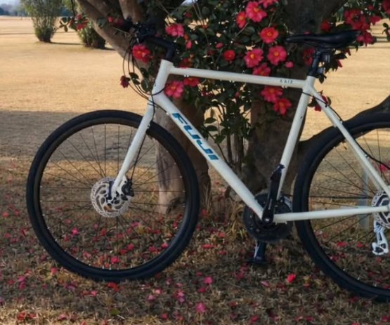 fuji :( bicycle