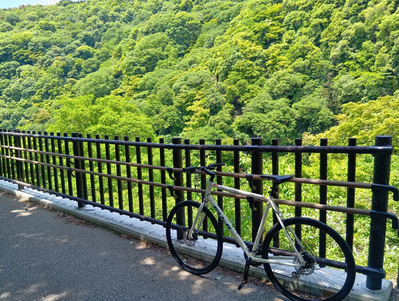 Bicycle journey photo