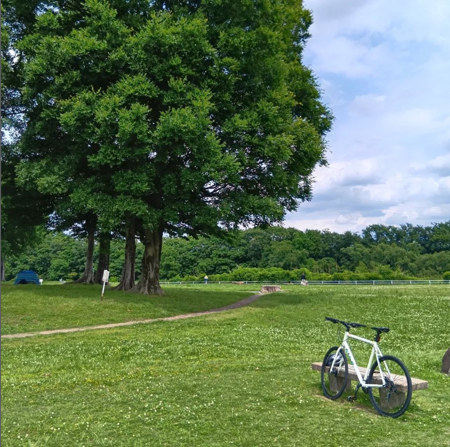 Bicycle journey photo